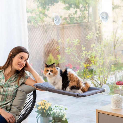 Pack Selfie Clip for Pets and Hanging Cat Hammock InnovaGoods