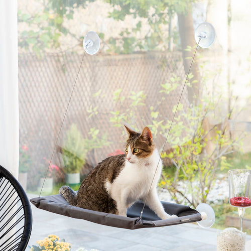 Pack Selfie Clip for Pets and Hanging Cat Hammock InnovaGoods