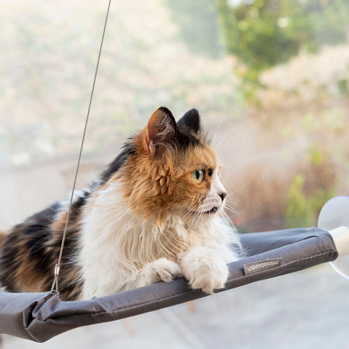 Pack Selfie Clip for Pets and Hanging Cat Hammock InnovaGoods