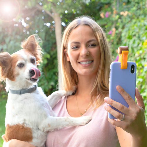 Pack Selfie Clip for Pets and Hanging Cat Hammock InnovaGoods