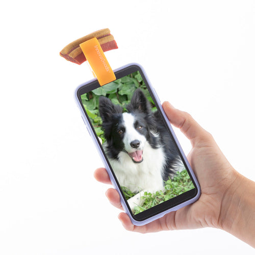 Pack Selfie Clip for Pets and Hanging Cat Hammock InnovaGoods